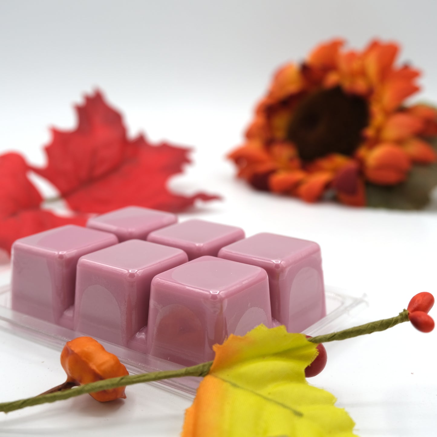 Autumn Vibes Wax Melts