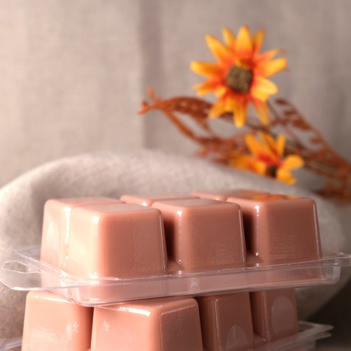 Cozy Pumpkin Wax Melts