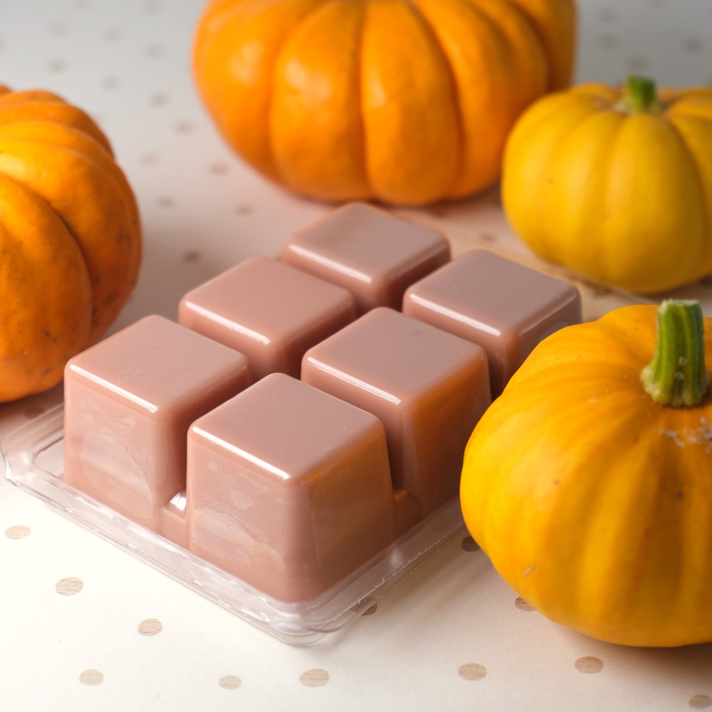 Cozy Pumpkin Wax Melts