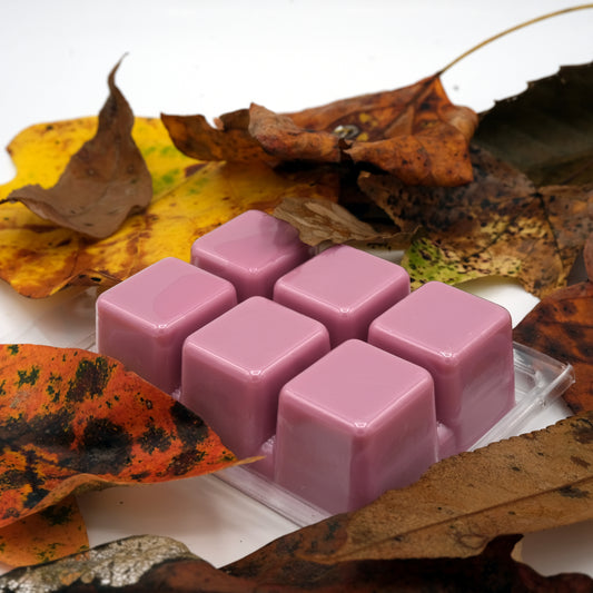 Autumn Vibes Wax Melts