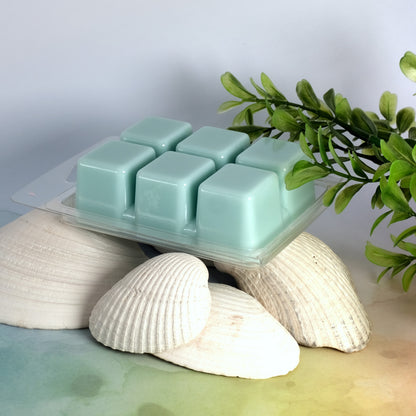 Coastal Waters Wax Melts