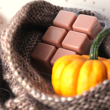 Cozy Pumpkin Wax Melts