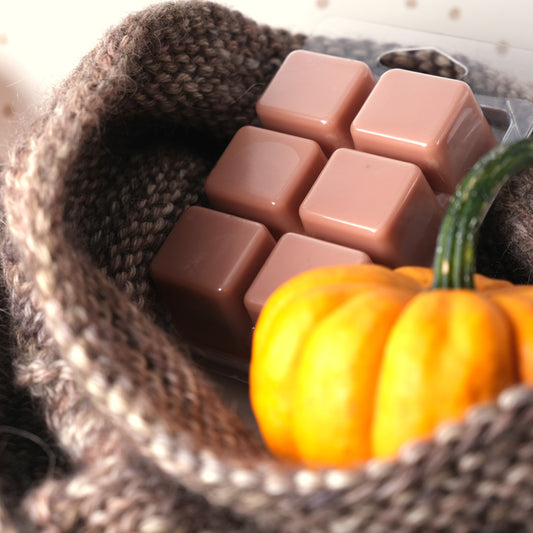 Cozy Pumpkin Wax Melts