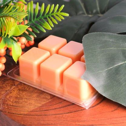 Mango and Coconut Wax Melts