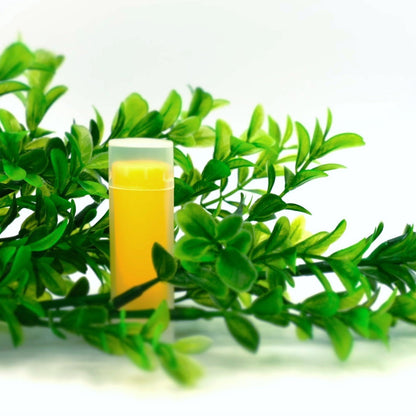 Mango Lip Balm