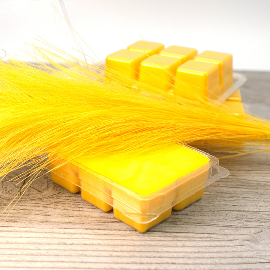 Sunwashed Wax Melts